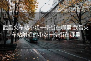 武昌火車站小俎一條街在哪里:武昌火車站附近的小吃一條街在哪里
