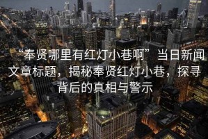 “奉賢哪里有紅燈小巷啊”當(dāng)日新聞文章標(biāo)題，揭秘奉賢紅燈小巷，探尋背后的真相與警示