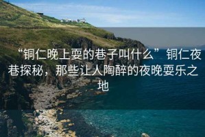 “銅仁晚上耍的巷子叫什么”銅仁夜巷探秘，那些讓人陶醉的夜晚耍樂之地