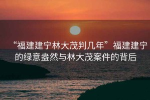 “福建建寧林大茂判幾年”福建建寧的綠意盎然與林大茂案件的背后