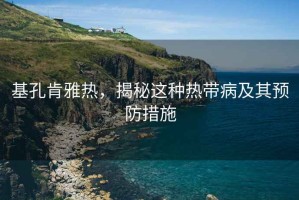 基孔肯雅熱，揭秘這種熱帶病及其預(yù)防措施
