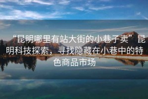 “昆明哪里有站大街的小巷子賣”昆明科技探索，尋找隱藏在小巷中的特色商品市場
