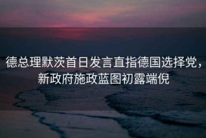 德總理默茨首日發(fā)言直指德國選擇黨，新政府施政藍圖初露端倪