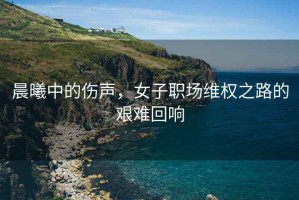 晨曦中的傷聲，女子職場(chǎng)維權(quán)之路的艱難回響