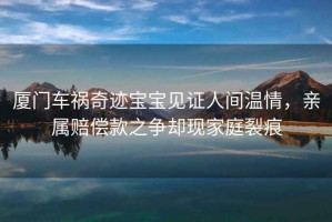 廈門車禍奇跡寶寶見證人間溫情，親屬賠償款之爭卻現(xiàn)家庭裂痕