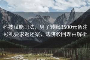 科技賦能司法，男子轉(zhuǎn)賬3500元備注彩禮要求返還案，法院駁回理由解析
