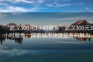 “武漢300元3小時服務(wù)”武漢300元3小時服務(wù)，探索城市快捷服務(wù)的魅力