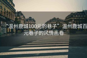 “溫州鹿城100元的巷子”溫州鹿城百元巷子的風(fēng)情畫卷