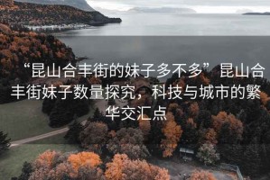 “昆山合豐街的妹子多不多”昆山合豐街妹子數(shù)量探究，科技與城市的繁華交匯點(diǎn)