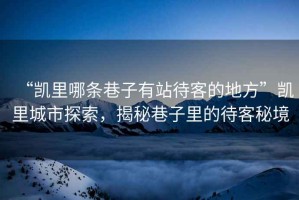 “凱里哪條巷子有站待客的地方”凱里城市探索，揭秘巷子里的待客秘境