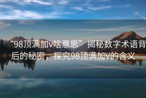 “98頂滿加v啥意思”揭秘數(shù)字術(shù)語背后的秘密，探究98頂滿加V的含義