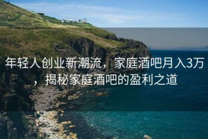年輕人創(chuàng)業(yè)新潮流，家庭酒吧月入3萬，揭秘家庭酒吧的盈利之道
