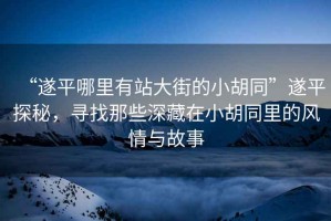 “遂平哪里有站大街的小胡同”遂平探秘，尋找那些深藏在小胡同里的風(fēng)情與故事