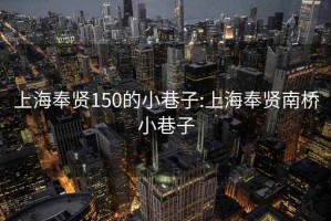 上海奉賢150的小巷子:上海奉賢南橋小巷子