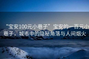 “寶安100元小巷子”寶安的一百元小巷子，城市中的隱秘角落與人間煙火