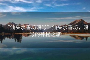 “汕頭水善坊暗號(hào)”汕頭水善坊，暗號(hào)的神秘之旅