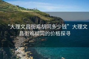 “大理文昌街雞胡同多少錢”大理文昌街雞胡同的價格探尋