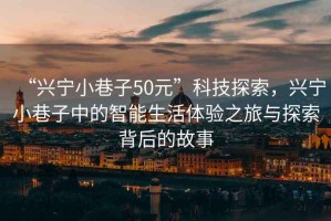 “興寧小巷子50元”科技探索，興寧小巷子中的智能生活體驗之旅與探索背后的故事