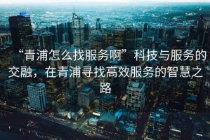 “青浦怎么找服務(wù)啊”科技與服務(wù)的交融，在青浦尋找高效服務(wù)的智慧之路