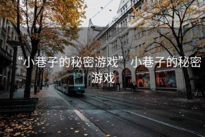 “小巷子的秘密游戲”小巷子的秘密游戲