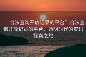 “合法查詢(xún)開(kāi)放記錄的平臺(tái)”合法查詢(xún)開(kāi)放記錄的平臺(tái)，透明時(shí)代的資訊探索之旅