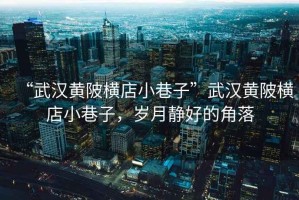 “武漢黃陂橫店小巷子”武漢黃陂橫店小巷子，歲月靜好的角落