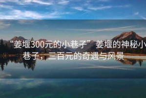 “姜堰300元的小巷子”姜堰的神秘小巷子，三百元的奇遇與風(fēng)景