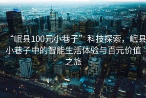 “岷縣100元小巷子”科技探索，岷縣小巷子中的智能生活體驗與百元價值之旅