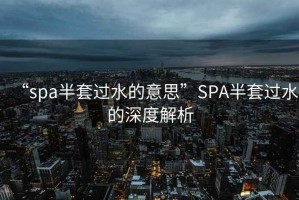 “spa半套過(guò)水的意思”SPA半套過(guò)水的深度解析