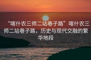 “喀什農(nóng)三師二站巷子路”喀什農(nóng)三師二站巷子路，歷史與現(xiàn)代交融的繁華地段