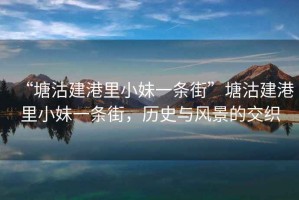 “塘沽建港里小妹一條街”塘沽建港里小妹一條街，歷史與風(fēng)景的交織