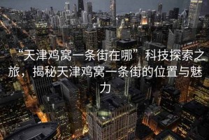 “天津雞窩一條街在哪”科技探索之旅，揭秘天津雞窩一條街的位置與魅力
