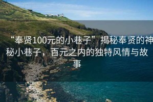 “奉賢100元的小巷子”揭秘奉賢的神秘小巷子，百元之內(nèi)的獨(dú)特風(fēng)情與故事