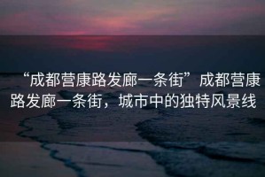 “成都營(yíng)康路發(fā)廊一條街”成都營(yíng)康路發(fā)廊一條街，城市中的獨(dú)特風(fēng)景線