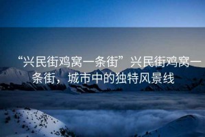 “興民街雞窩一條街”興民街雞窩一條街，城市中的獨特風(fēng)景線