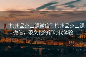 “梅州品茶上課微信”梅州品茶上課微信，茶文化的新時代體驗