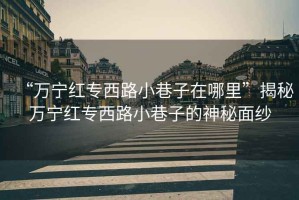 “萬寧紅專西路小巷子在哪里”揭秘萬寧紅專西路小巷子的神秘面紗