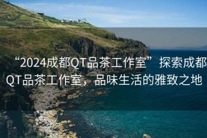 “2024成都QT品茶工作室”探索成都QT品茶工作室，品味生活的雅致之地