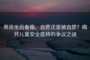 男孩坐后備箱，自愿還是被自愿？揭開(kāi)兒童安全座椅的爭(zhēng)議之謎