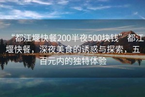 “都江堰快餐200半夜500塊錢”都江堰快餐，深夜美食的誘惑與探索，五百元內(nèi)的獨(dú)特體驗(yàn)