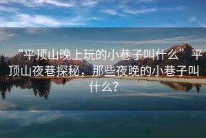 “平頂山晚上玩的小巷子叫什么”平頂山夜巷探秘，那些夜晚的小巷子叫什么？