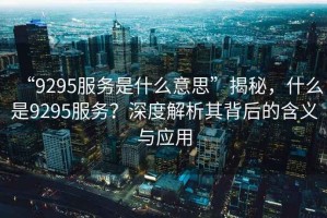 “9295服務(wù)是什么意思”揭秘，什么是9295服務(wù)？深度解析其背后的含義與應(yīng)用