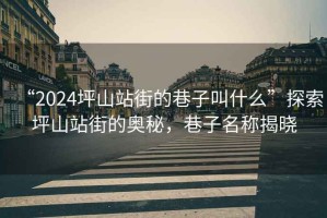 “2024坪山站街的巷子叫什么”探索坪山站街的奧秘，巷子名稱揭曉