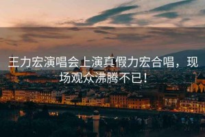 王力宏演唱會上演真假力宏合唱，現(xiàn)場觀眾沸騰不已！