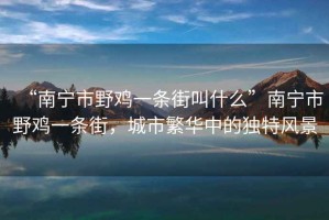 “南寧市野雞一條街叫什么”南寧市野雞一條街，城市繁華中的獨(dú)特風(fēng)景