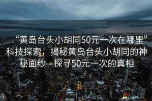 “黃島臺(tái)頭小胡同50元一次在哪里”科技探索，揭秘黃島臺(tái)頭小胡同的神秘面紗—探尋50元一次的真相