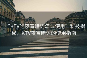 “KTV吃夜宵暗語怎么使用”科技揭秘，KTV夜宵暗語的使用指南