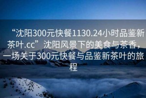 “沈陽(yáng)300元快餐1130.24小時(shí)品鑒新茶葉.cc”沈陽(yáng)風(fēng)景下的美食與茶香，一場(chǎng)關(guān)于300元快餐與品鑒新茶葉的旅程