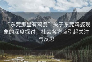 “東莞那里有雞婆”關(guān)于東莞雞婆現(xiàn)象的深度探討，社會(huì)各方應(yīng)引起關(guān)注與反思