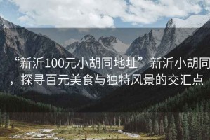 “新沂100元小胡同地址”新沂小胡同，探尋百元美食與獨特風景的交匯點